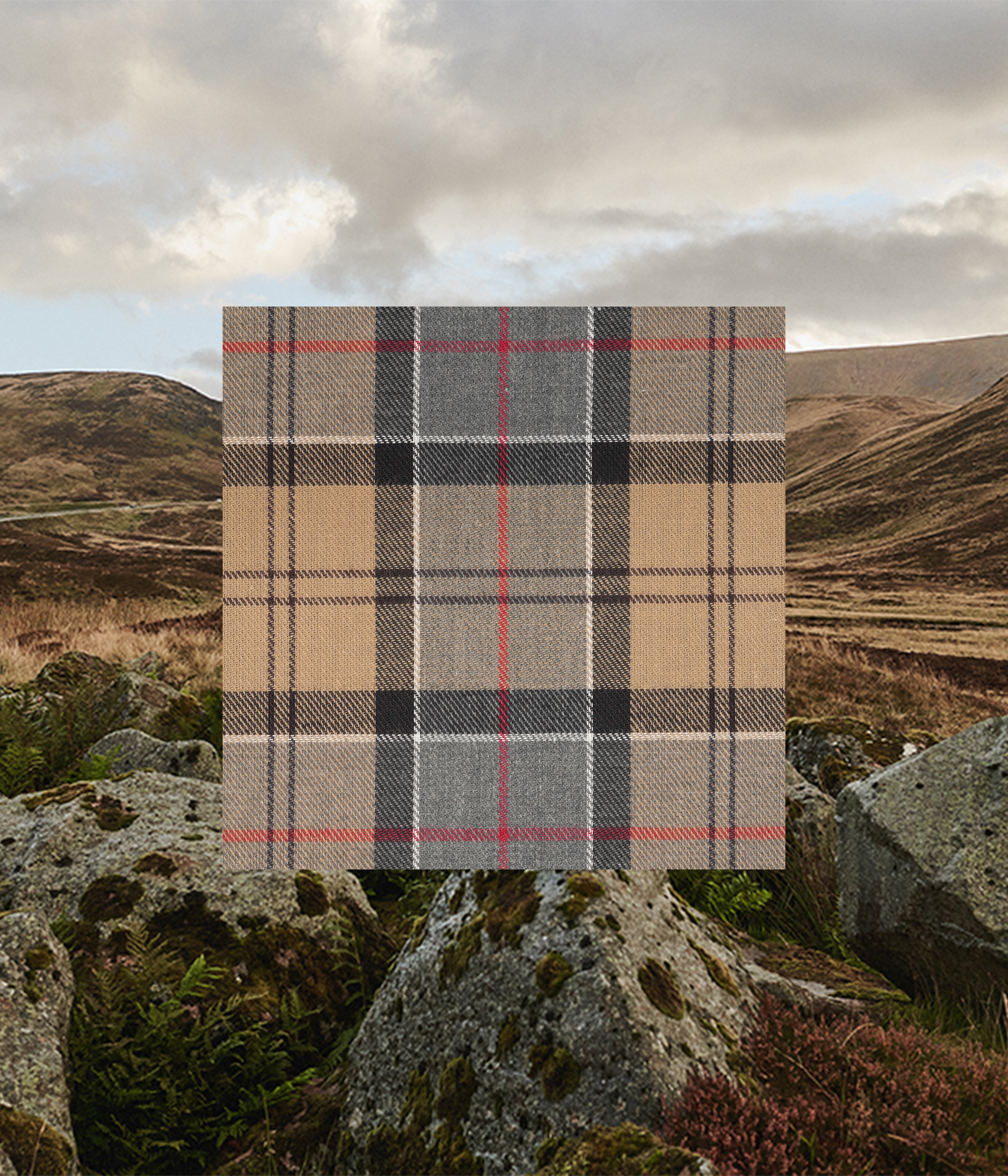 Barbour Dress Tartan