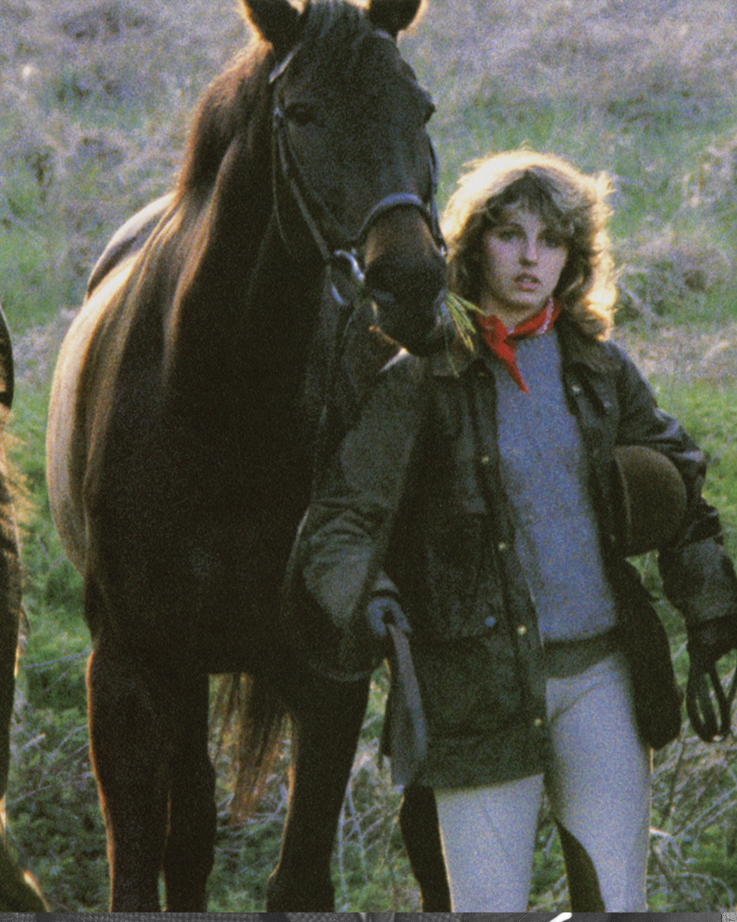 Bedale Wax Jackets