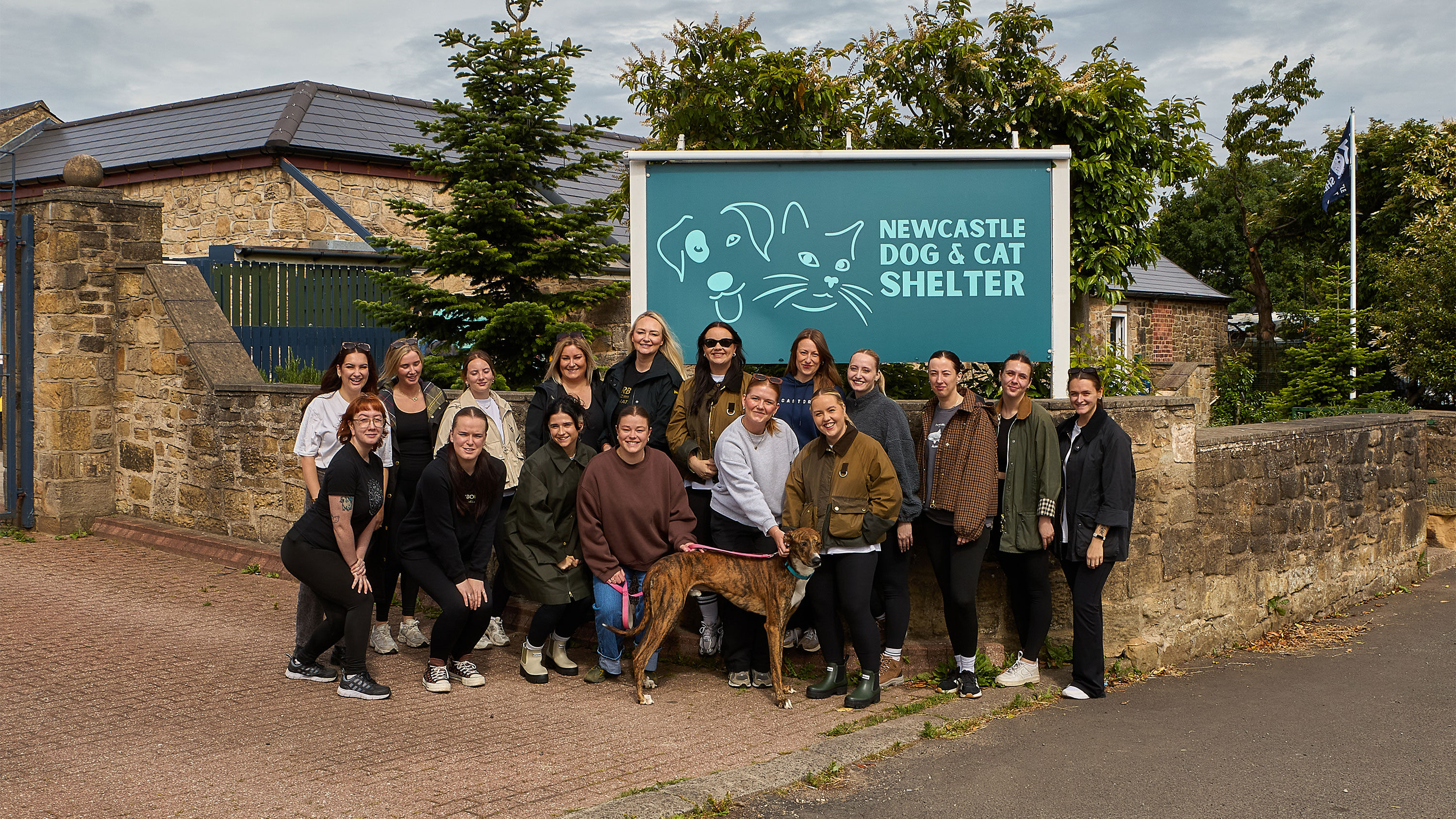 Newcastle Dog & Cat Shelter