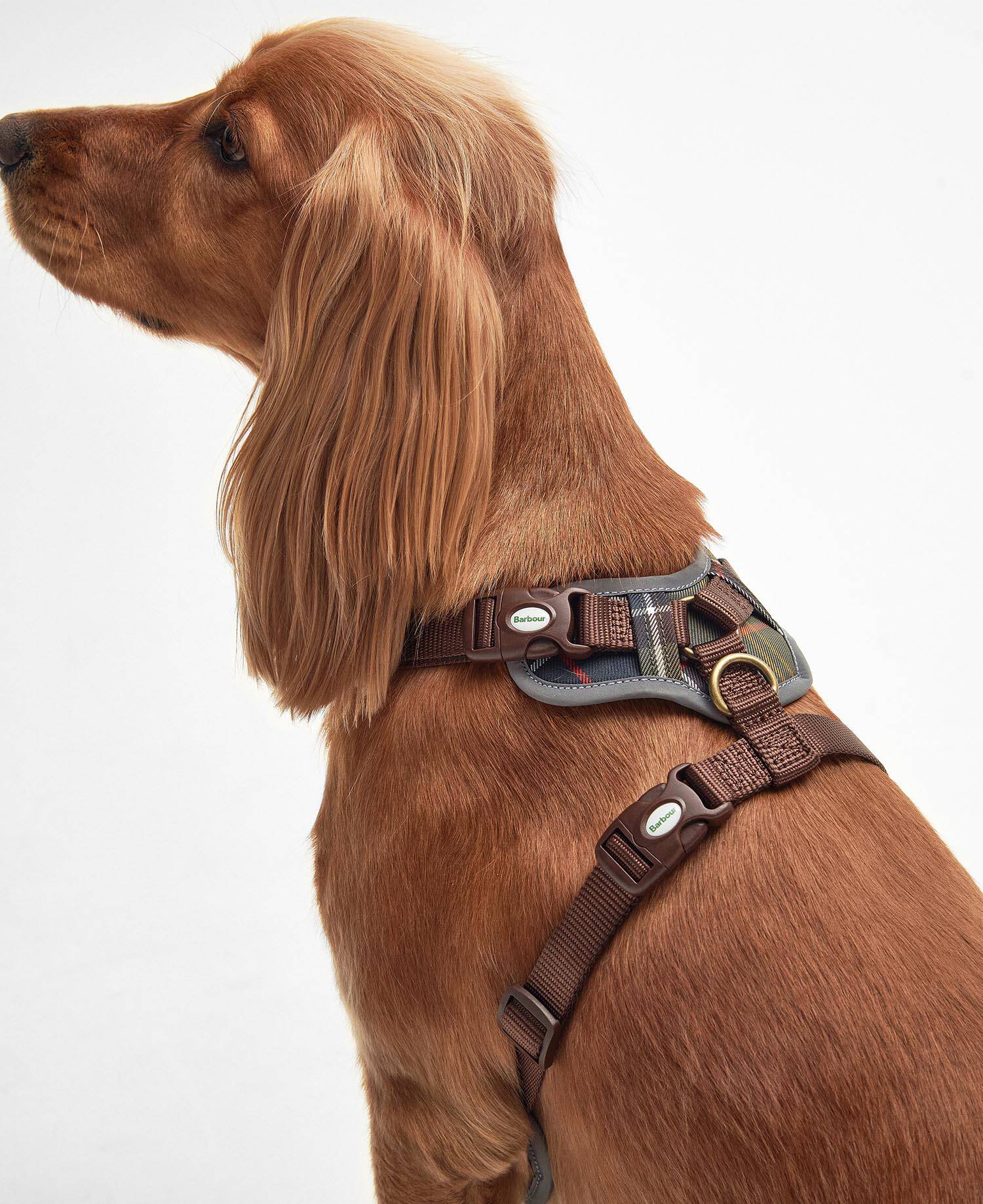 Pettorina regolabile in tartan image number 3