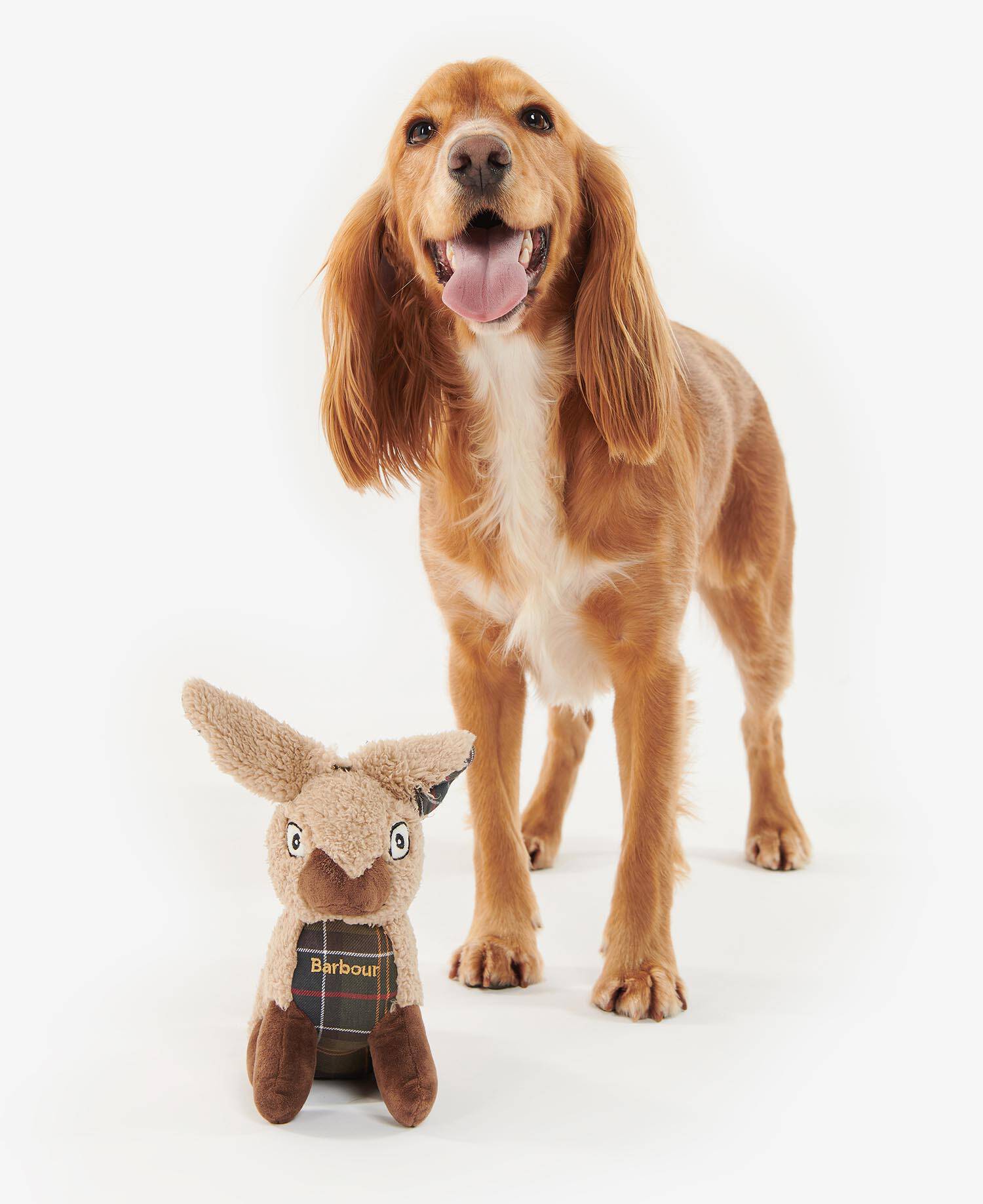 Rabbit Dog Toy image number 1