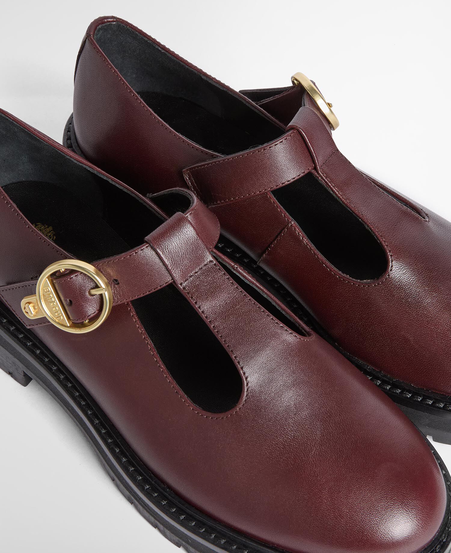 Ryton Mary Jane Shoes Melot