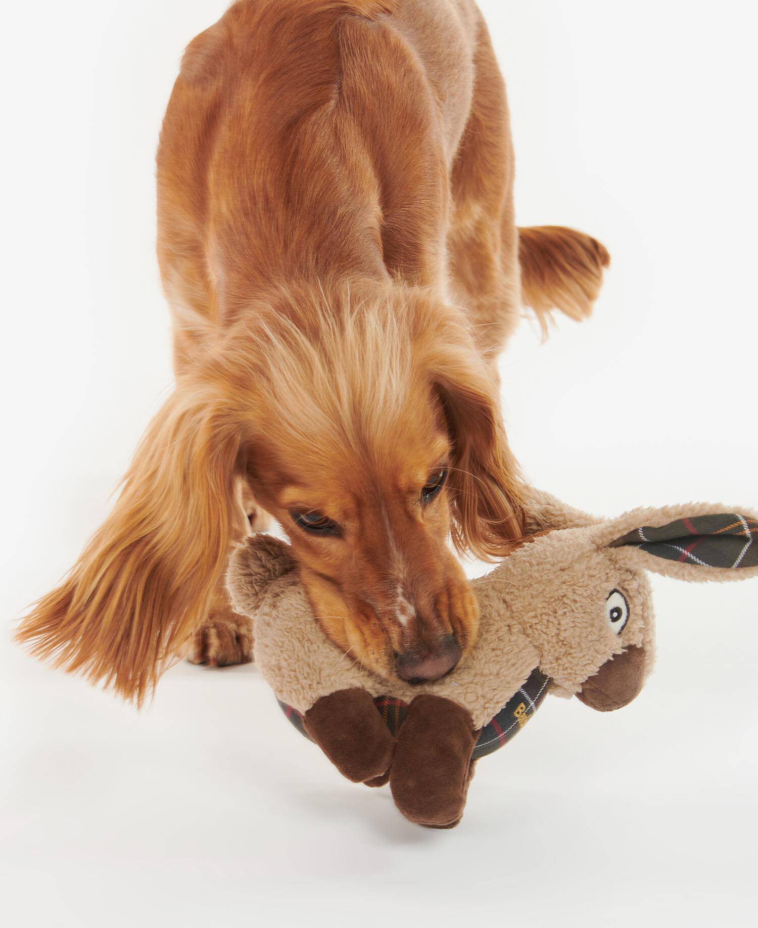 Rabbit Dog Toy image number 5
