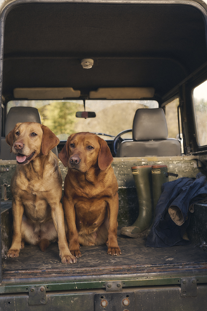 Barbour Dog Walking Essentials