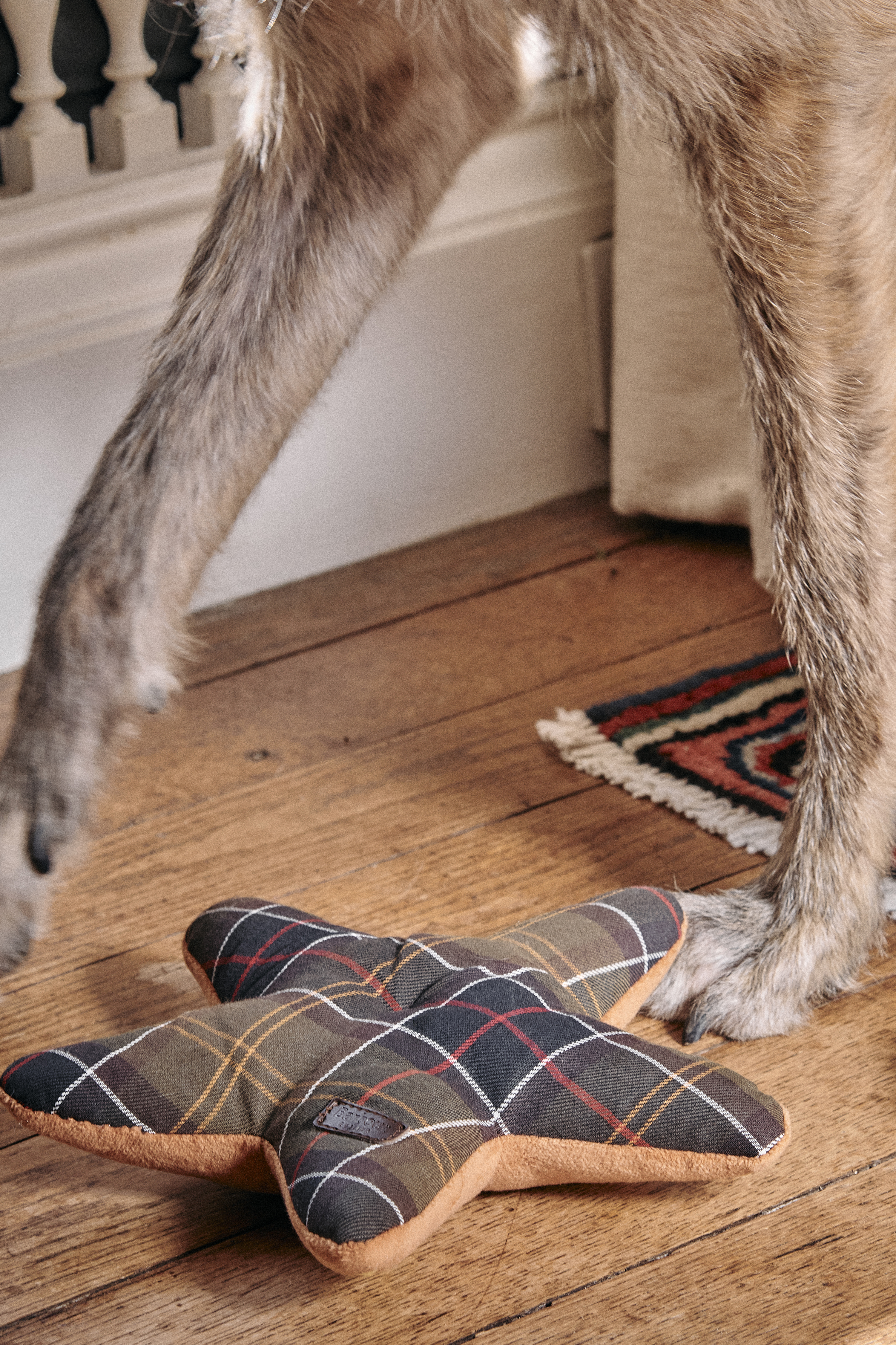 Christmas Gifts for your Dogs