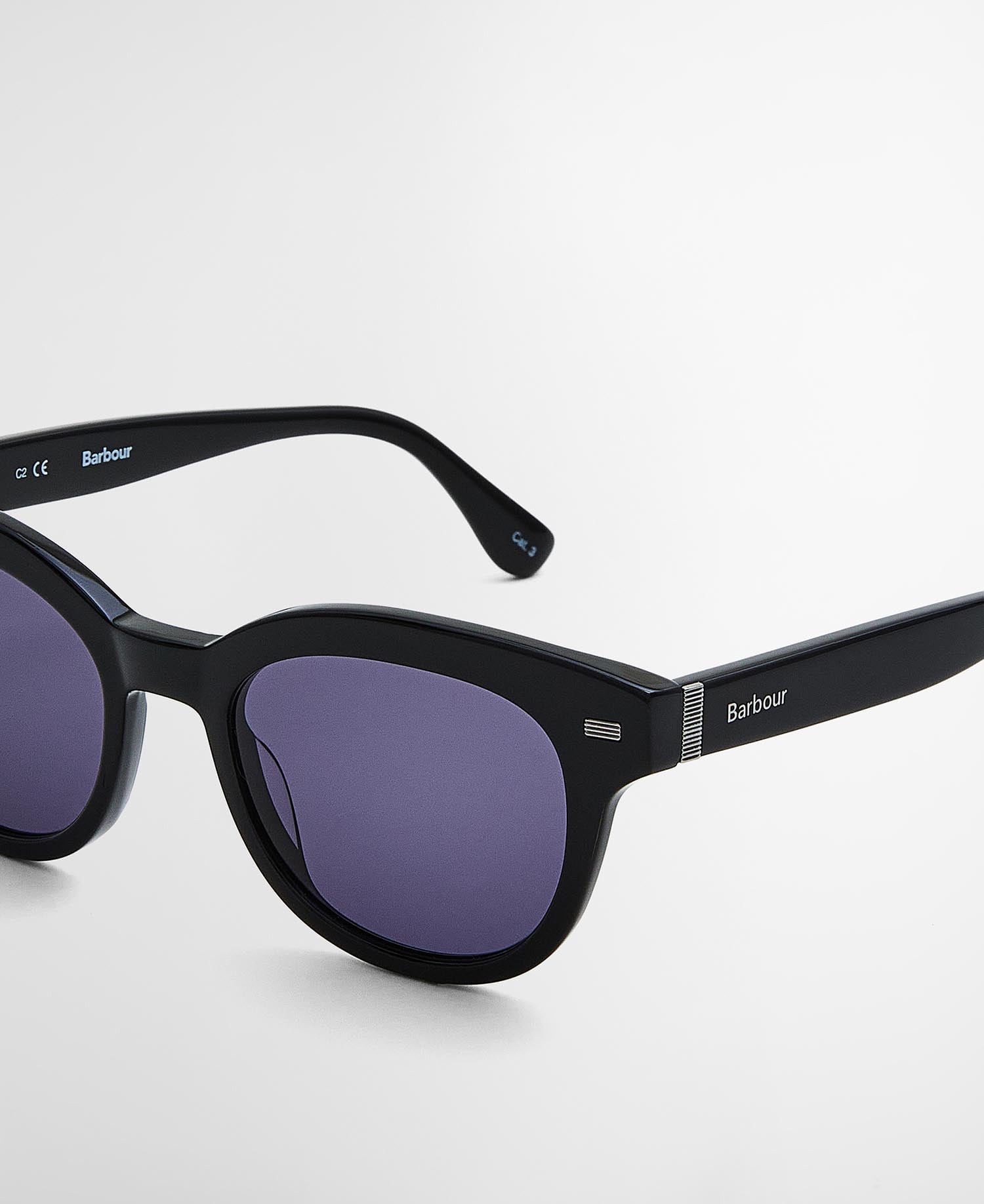 Rounded Sunglasses Black