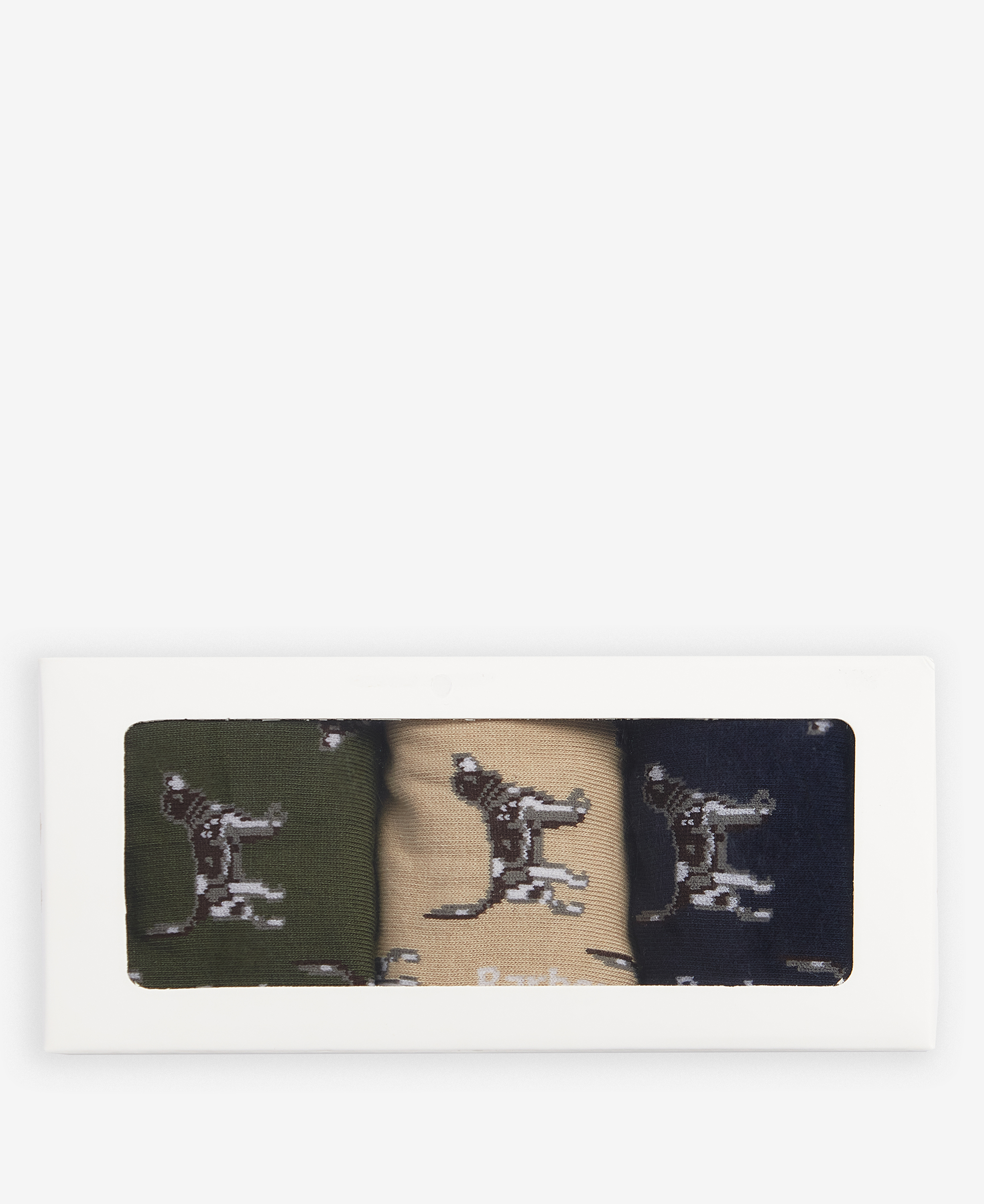 Geschenk-Set Socken Pointer Dog