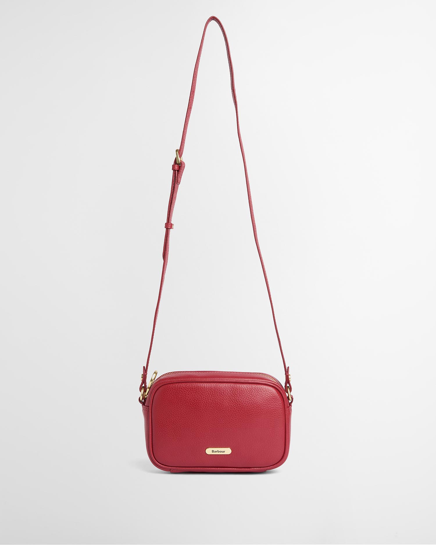 Daphne Mini Leather Crossbody Bag Red